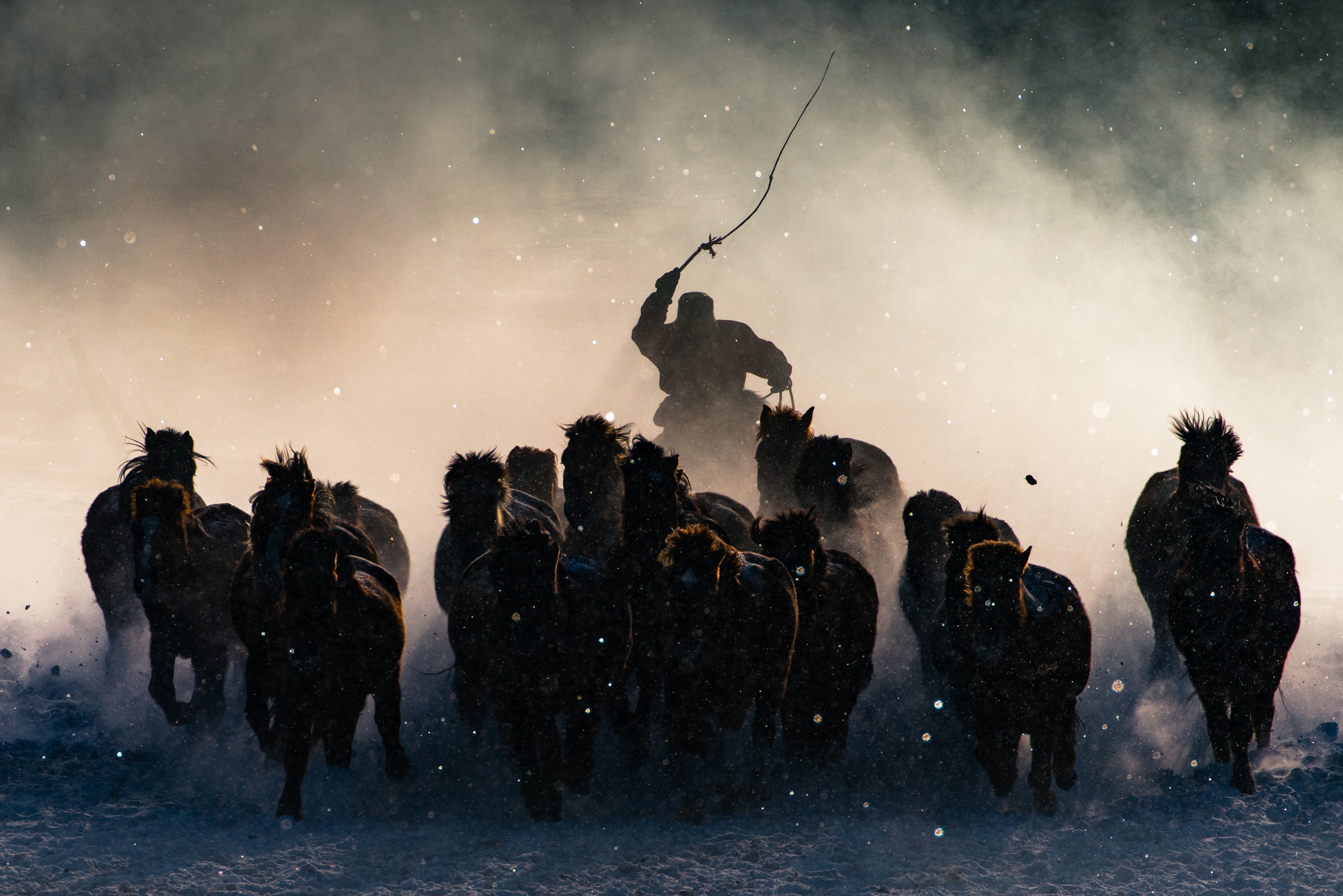 Лучшая фото года. Нэшнл Джиогрэфик. Фотографы National Geographic. Победители National Geographic. Погонщик лошадей.