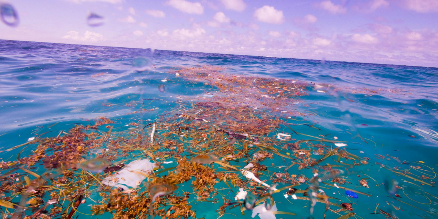 Fotografin entdeckt riesige Mengen Plastikmüll in der Karibik