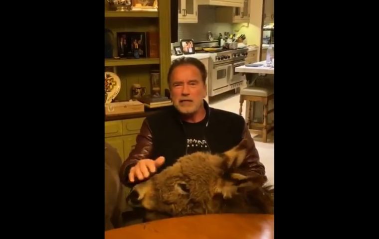 Arnold Schwarzenegger mahnt, dass wir alle zu Hause bleiben sollten