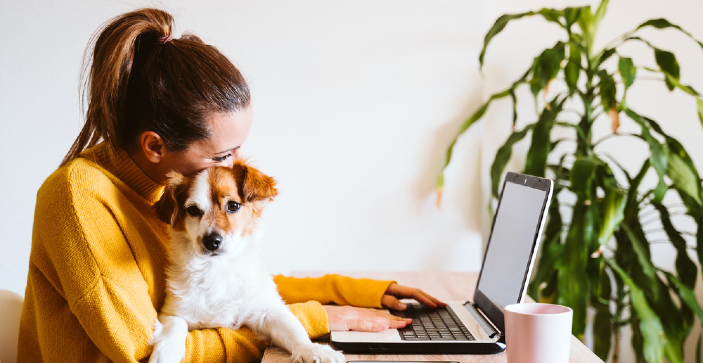 Hunde im Büro: Stresskiller oder Ablenkung?