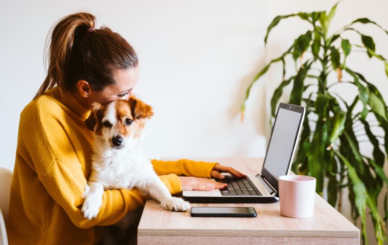 Hunde im Büro: Stresskiller oder Ablenkung?