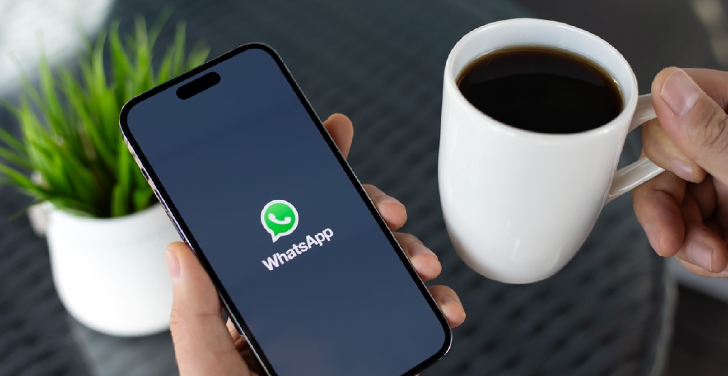 WhatsApp-Hack: So sieht man den Status anderer Kontakte unerkannt!