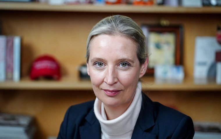 Musk meets Weidel: Wenn Tech-Giganten Wahlkampf machen