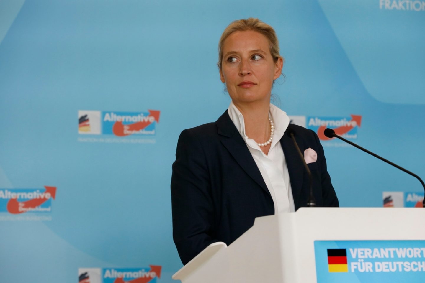 Weidel zu Adolf Hitler: Wo hat sie Recht und wo Unrecht?