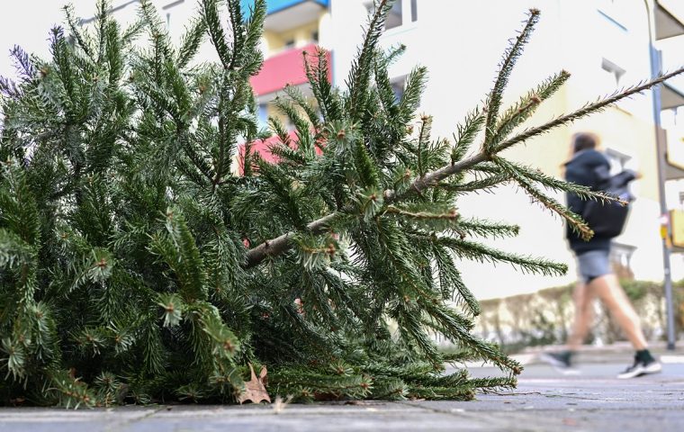 Wohin mit dem Tannenbaum nach den Feiertagen?